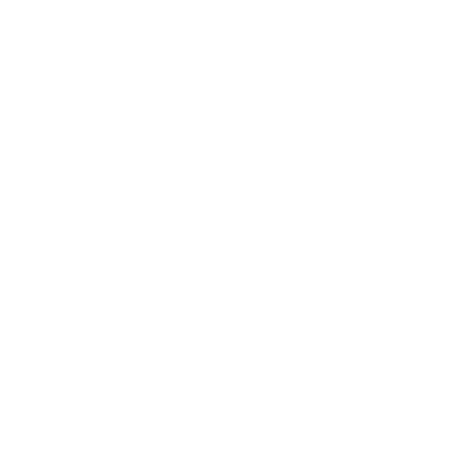 Instagram Icon Follow Us